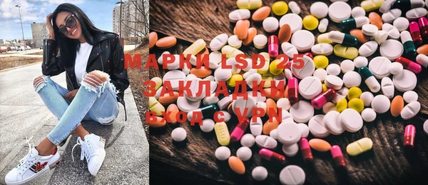 дмт Алзамай