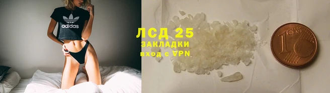 дмт Алзамай
