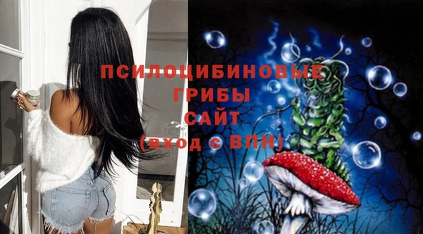 дмт Алзамай