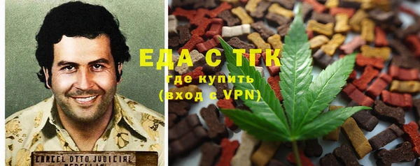 дмт Алзамай