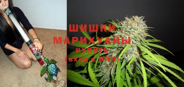 дмт Алзамай