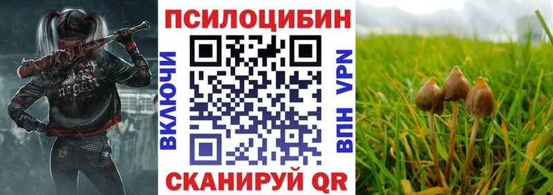 Псилоцибиновые грибы Psilocybine cubensis  Гусь-Хрустальный 